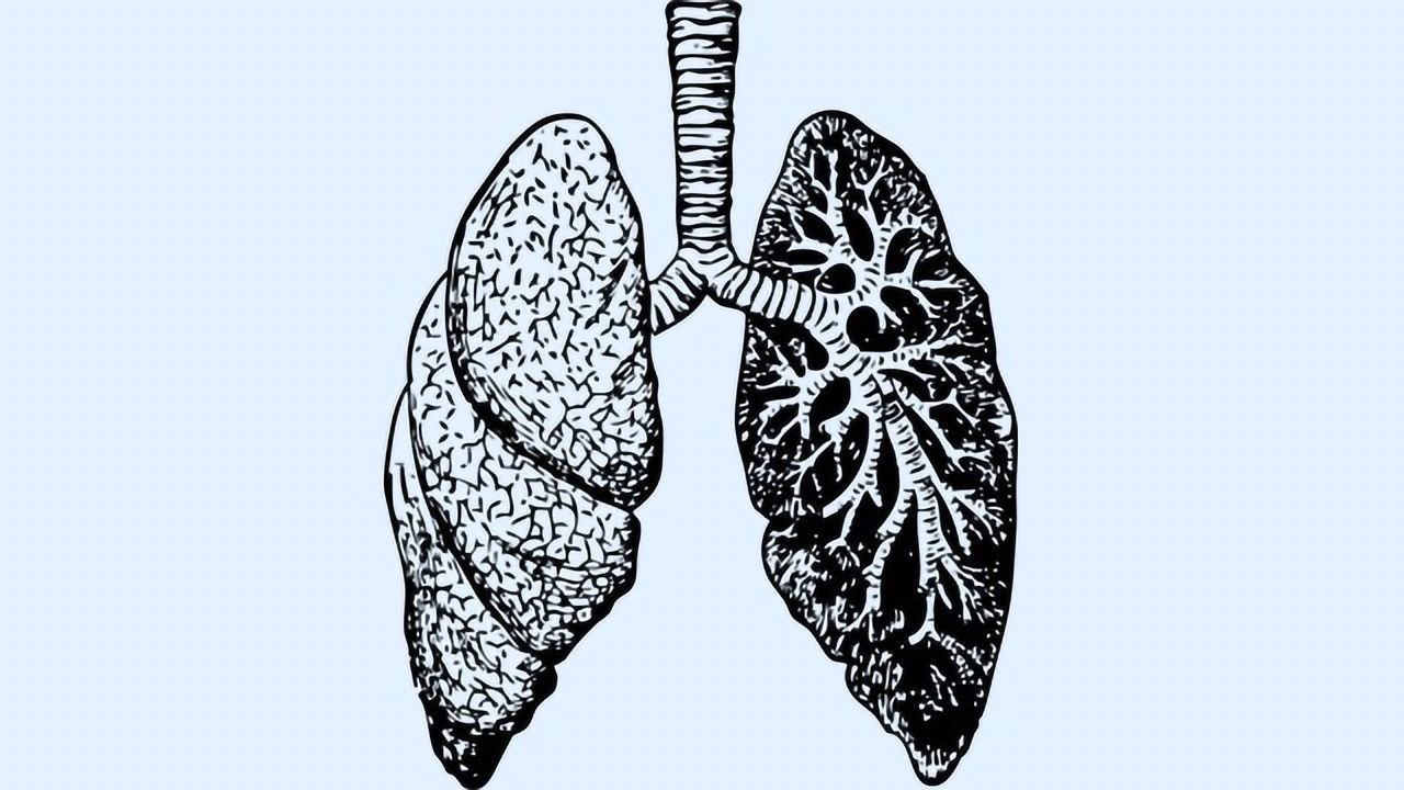 Small Airway Loss Detectable in COPD Lung Tissue