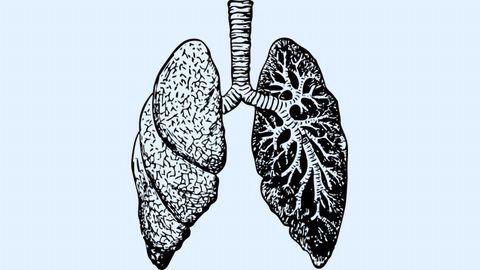 Small Airway Loss Detectable in COPD Lung Tissue