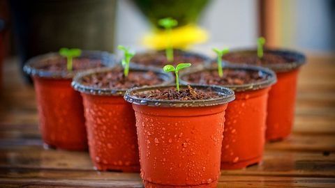 Innovative Greenhouses for the Harshest Climates