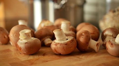 Think Mushrooms!