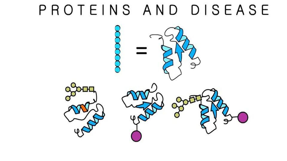 The Cell-based Human Proteome Project - Neil Kelleher - TEDxNorthwesternU content piece image
