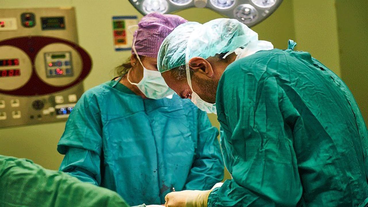 Could Cell Therapy Replace Need for Kidney Transplants?