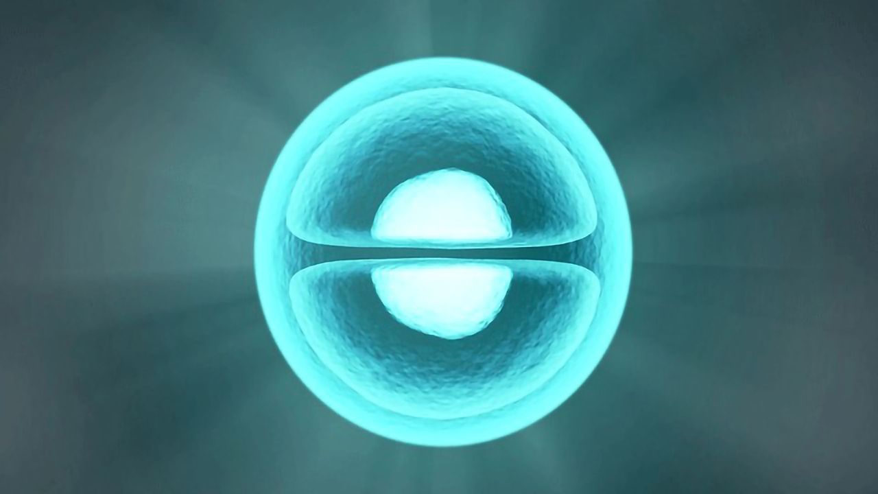 Hematopoietic Stem Cells: Making Blood Thicker Than Water