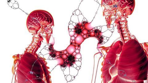 The Origin of Consciousness