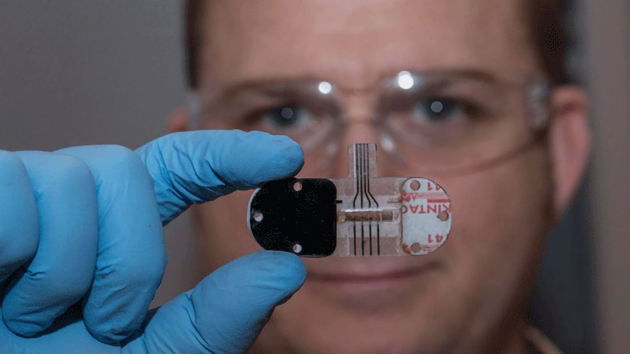 Making Sense of Your Sweat Data