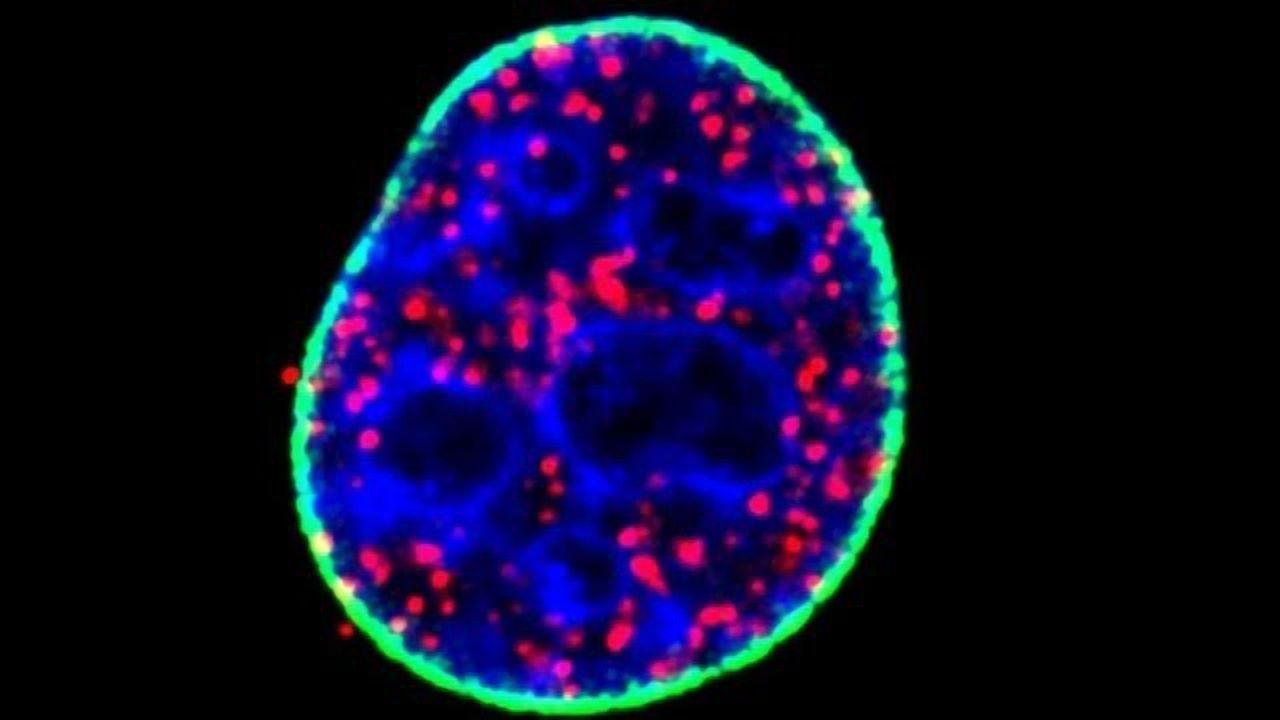 The Key to a Common Cancer Pathway
