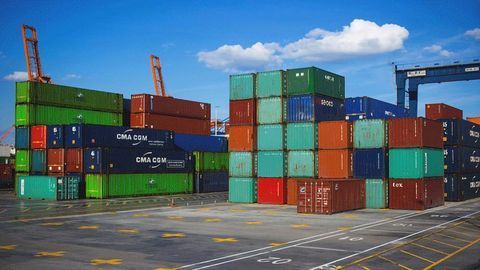 Rising Global Shipping Traffic Could Lead to Surge in Invasive Species
