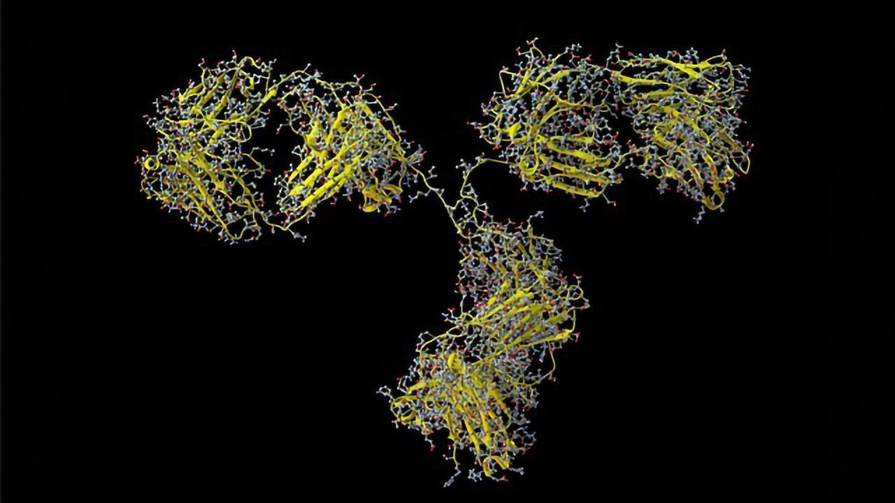 From Mirror-image Biology to Enhanced Therapeutic Proteins