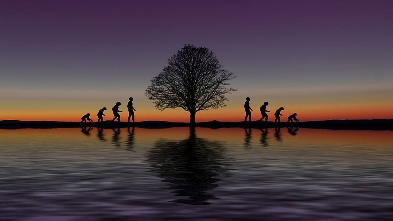 Why Humans Are Adaptable yet Delicate