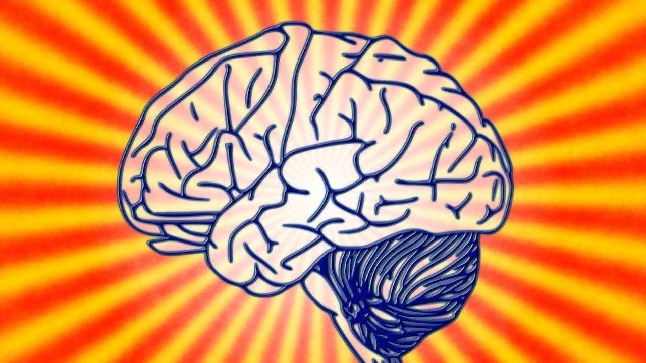 Brain Research Reveals a Circuit for Cocaine Relapse