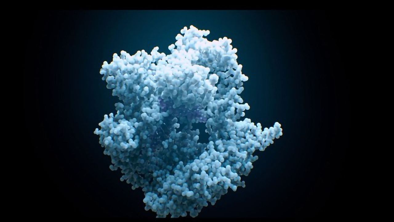 Human Nature Documentary Trailer