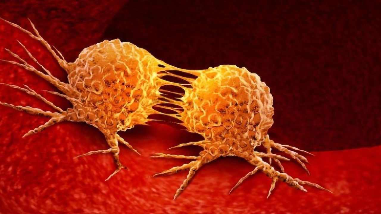 Targeting TGF-β Signaling in Cancer: A Double-edged Sword