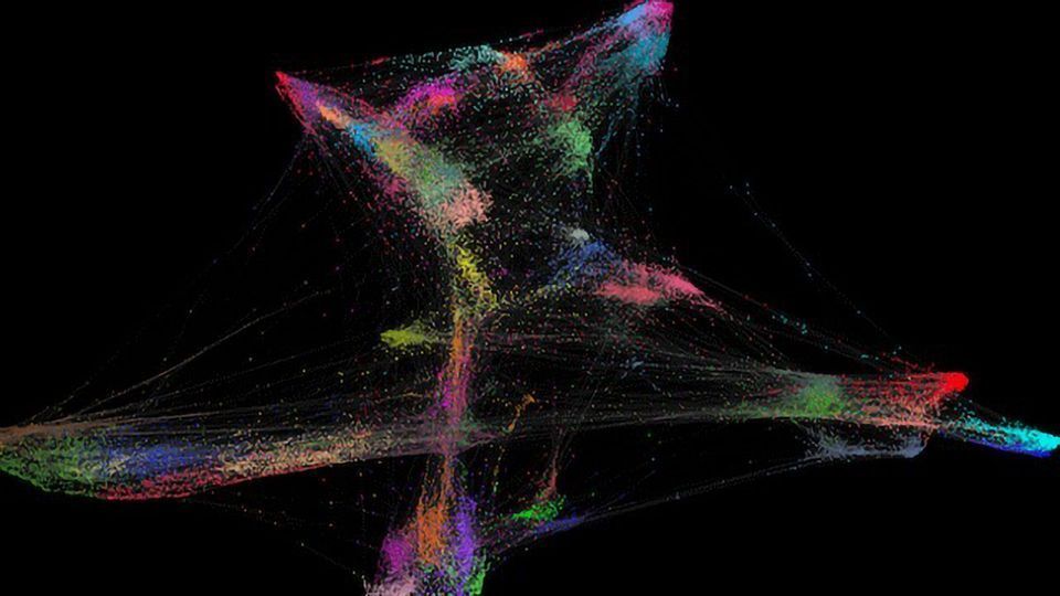 Distinguishing Feature of T Cells in Colorectal Tumors Identified content piece image