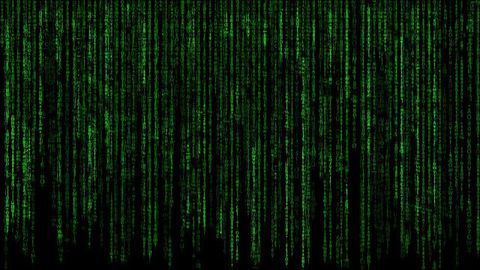 European Bioinformatics Institute Launches Protein Data Bank