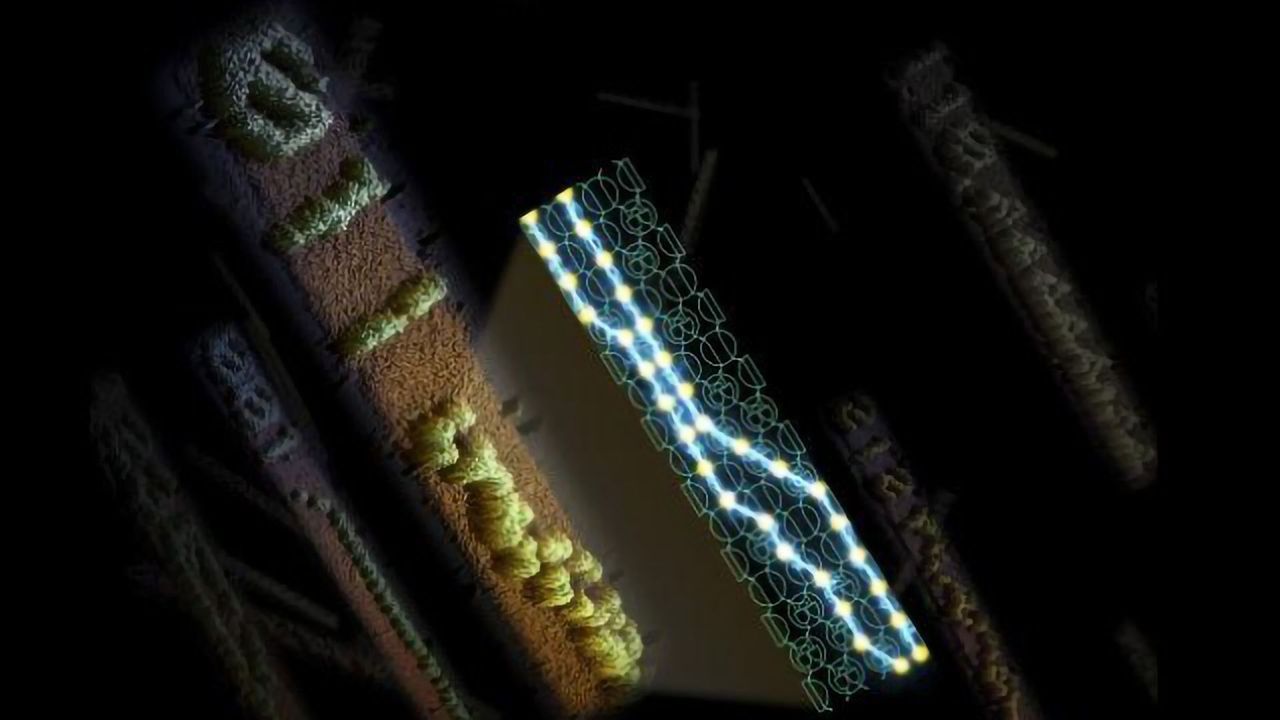 Running Molecular Algorithms on DNA Computers