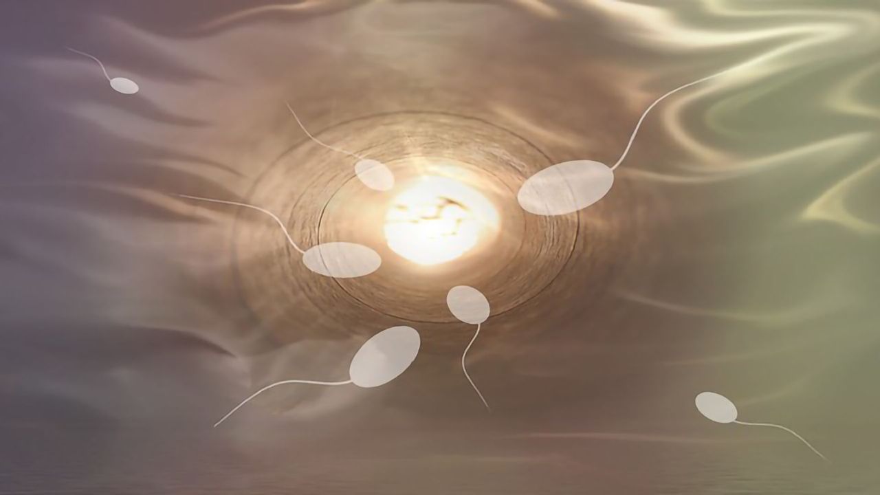 A Potential Role for Sperm in Repeat Miscarriages