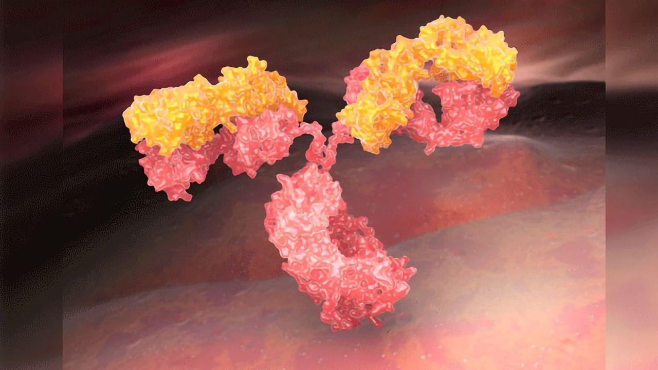 Post-translational Modifications in Biopharmaceuticals