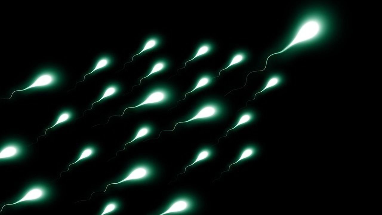 Reduced Sperm Count Linked to Particulate Air Pollution