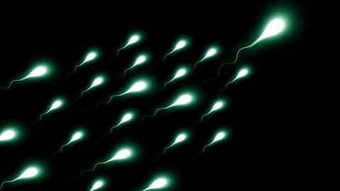 Reduced Sperm Count Linked to Particulate Air Pollution