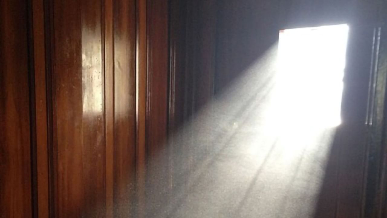 Fat Cell Development May Be Promoted by Chemicals in Household Dust