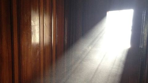 Fat Cell Development May Be Promoted by Chemicals in Household Dust