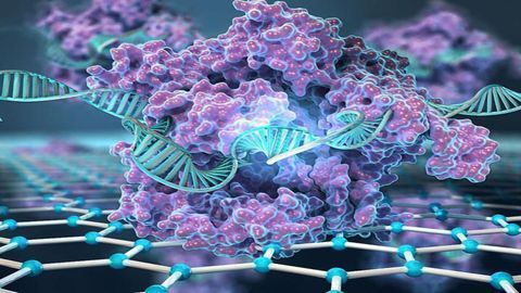 CRISPR-Chip Detects Mutations in Minutes