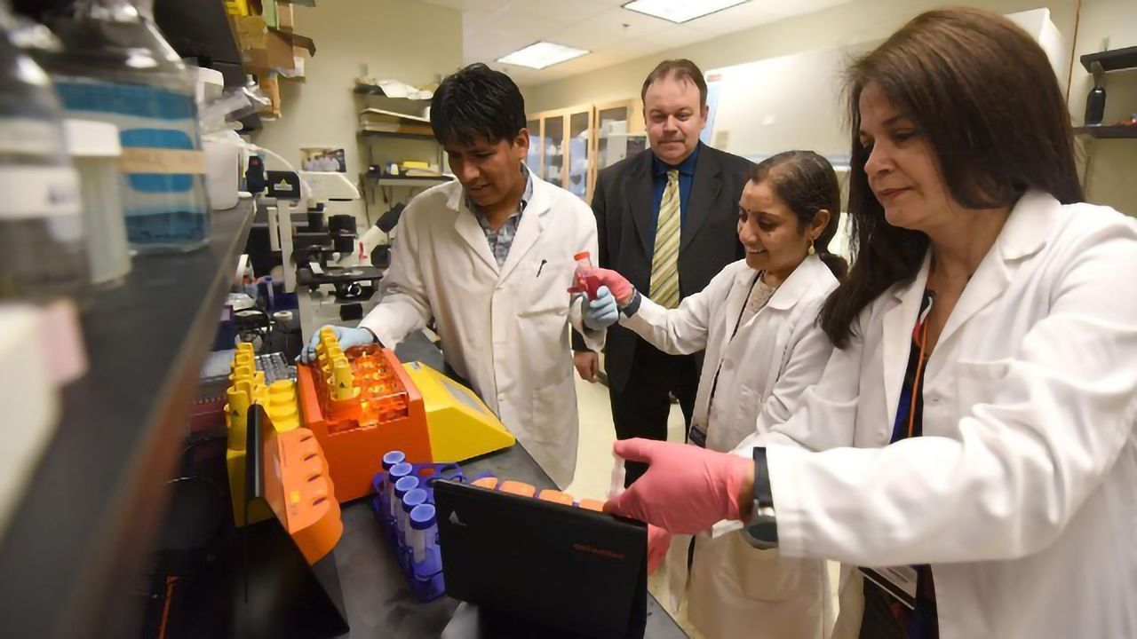 Peptide May Protect Kidneys From Ourselves