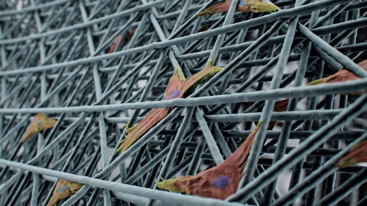 3D Printed Cell-scale Scaffold May Improve Quality Control
