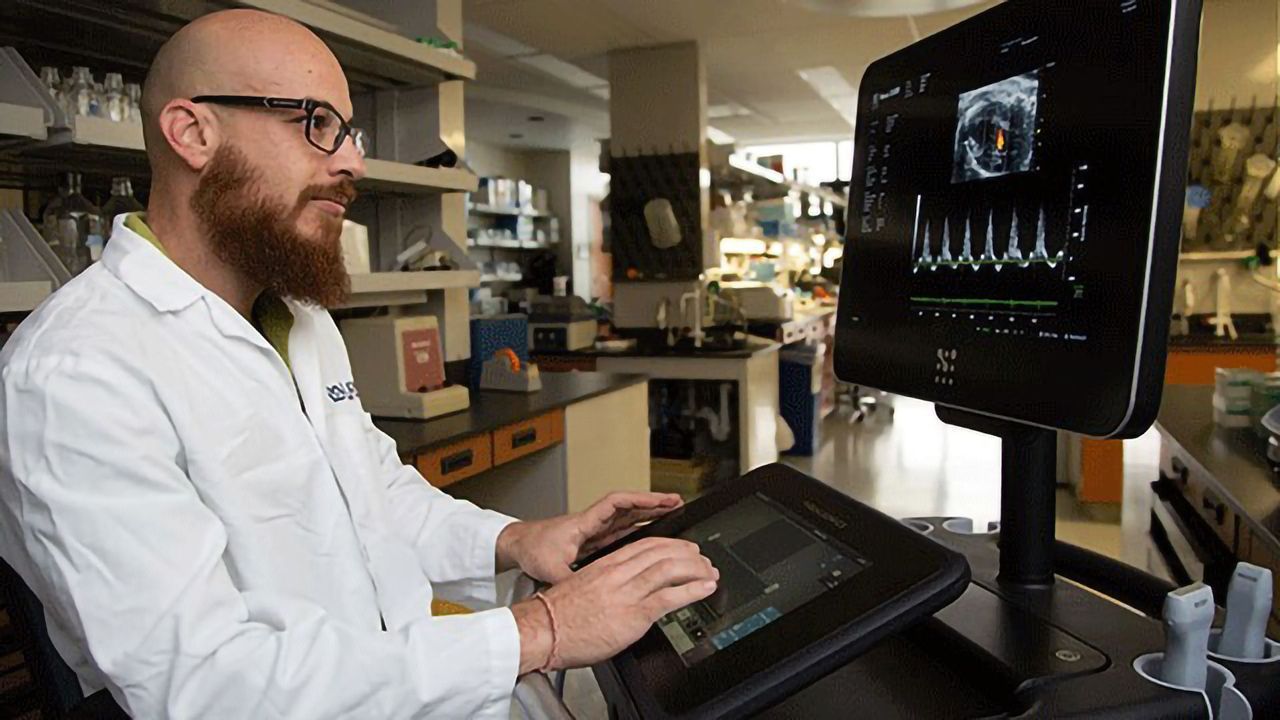 Gene Transfer Improves Diabetes-linked Heart Ailment in Mice
