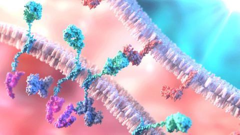 Tumor Plus Heat May Equal More Effective Immunotherapy