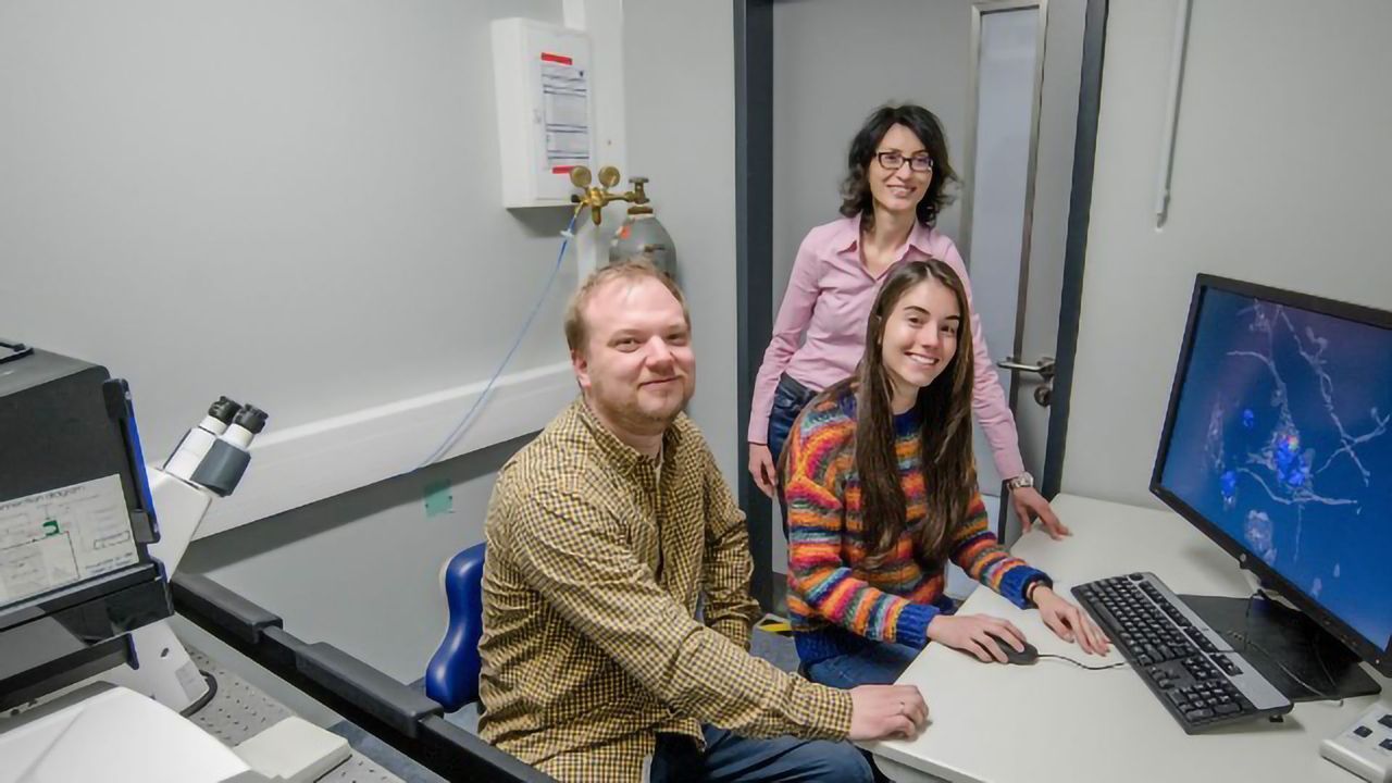 How Nerve Cells Keep Misfolded Proteins in Check