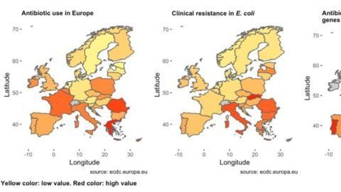 Antibiotic Resistance Levels Reflected in Wastewater