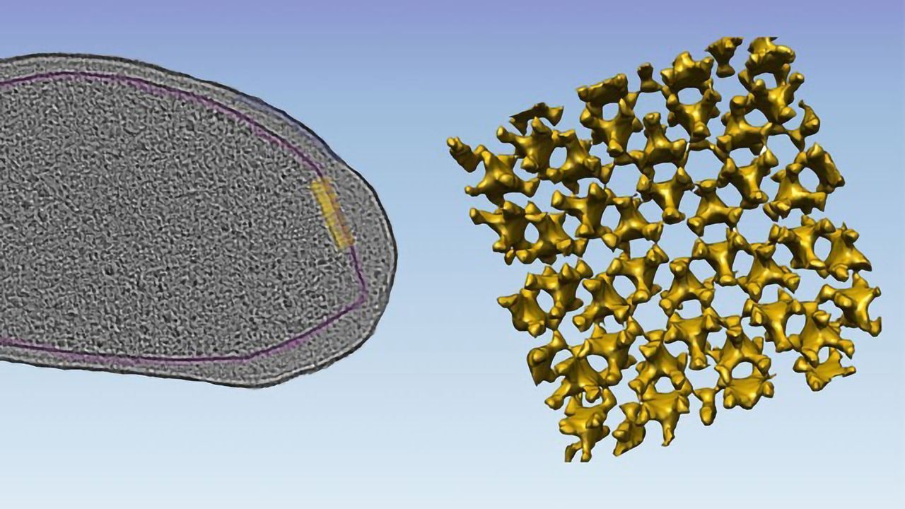Taking a Closer Look at Microbial-Environmental Interactions With Cryo-EM