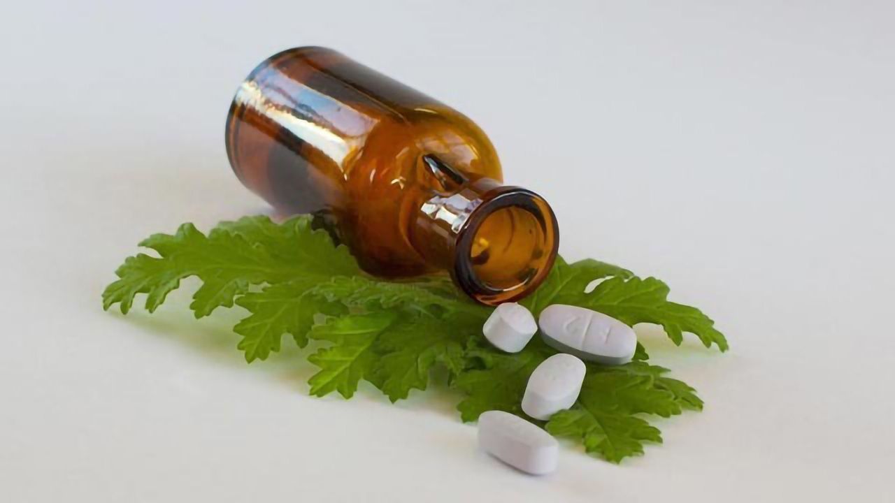 What’s in This Plant? Automated System Helps Find Potential Drugs