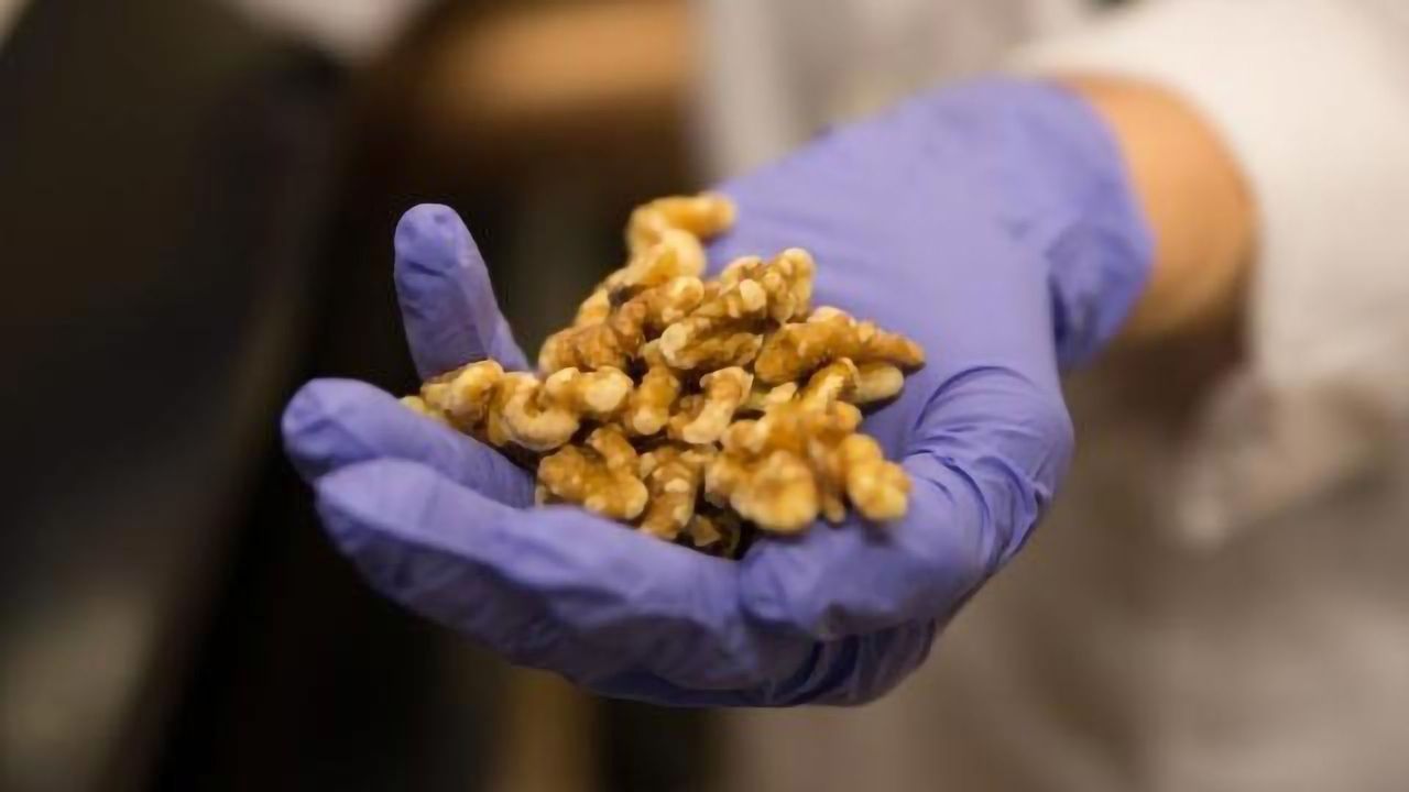 Cracked It? Eating Walnuts Could Suppress Growth of Breast Cancers
