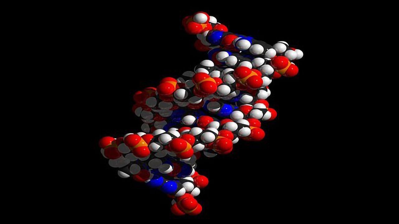 World’s Smallest Board Game Is Made From DNA