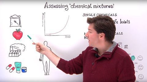 Chemical Mixtures and Food Safety