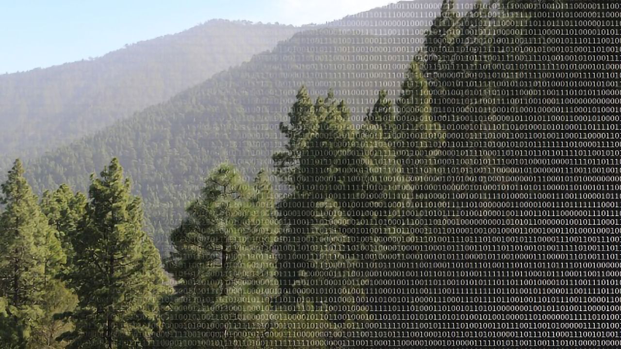 What Big Data Reveals About the Diversity of Species