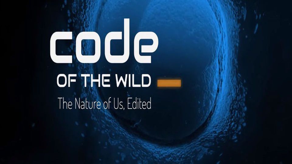 Code of the Wild Film Trailer content piece image