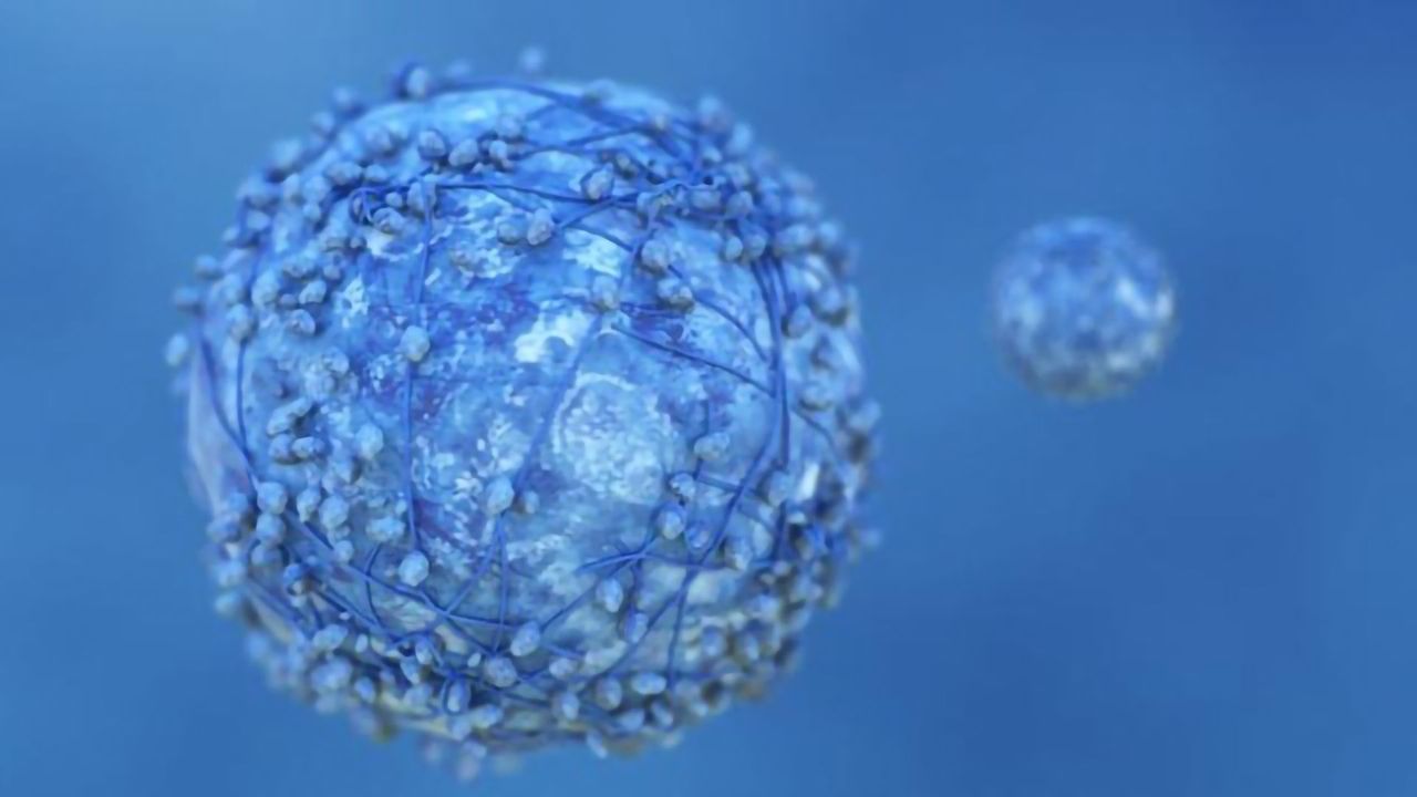 Progress Towards Personalized Cancer Immunotherapy