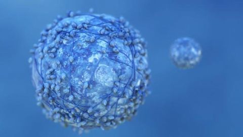 Progress Towards Personalized Cancer Immunotherapy