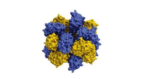 Supercomputers Help Supercharge Jellyfish Proteins