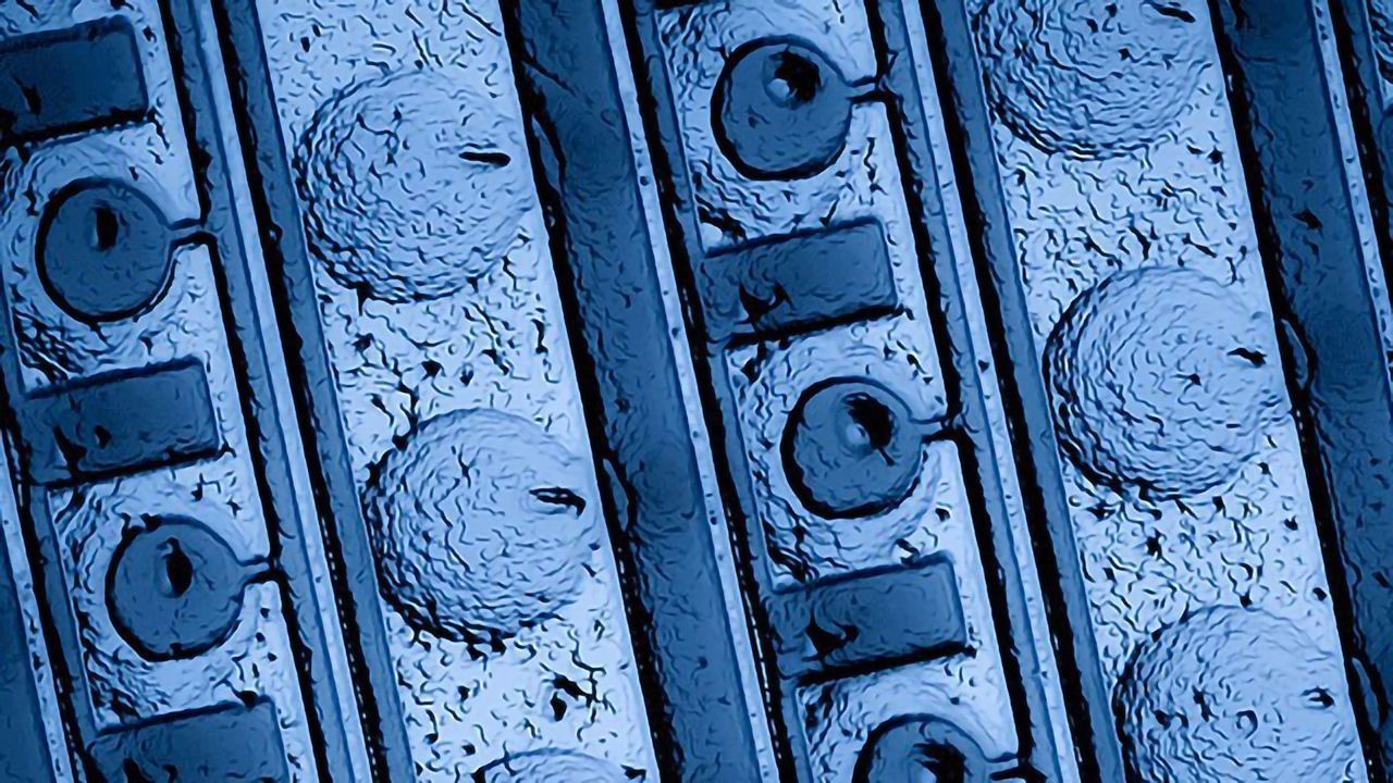 Cell-free Microfluidic Device Characterizes Transcription Factors