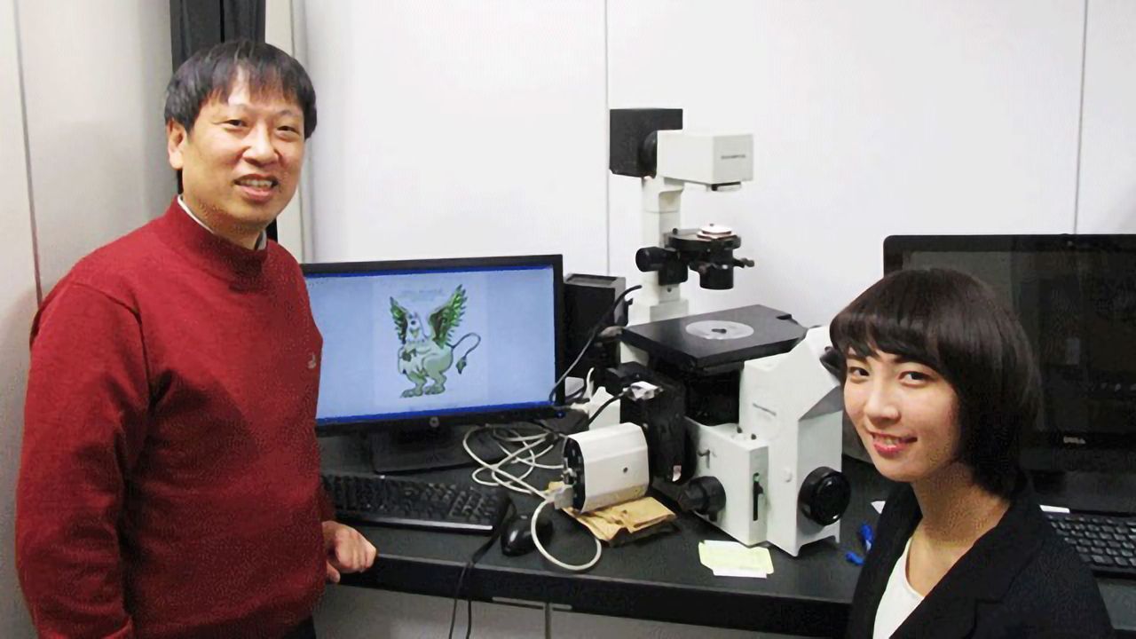 "Green Glifons" for Real-time Monitoring of Glucose Metabolism