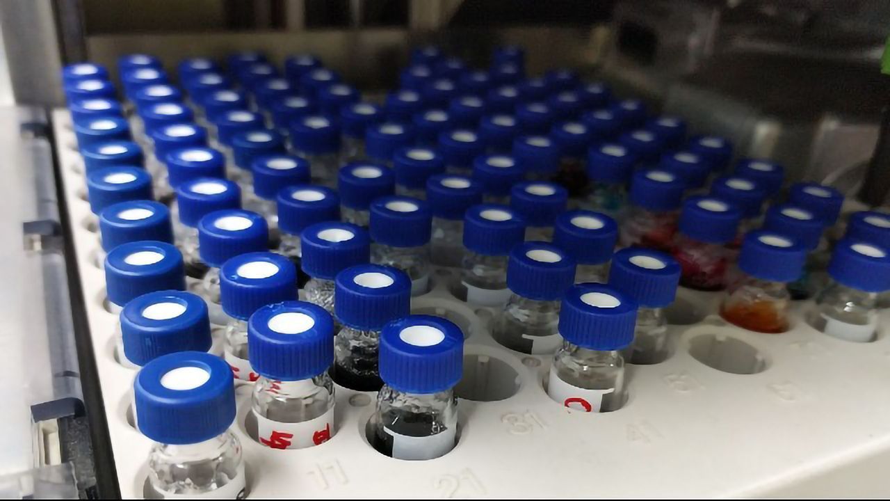 Chromatography Data Systems in Action