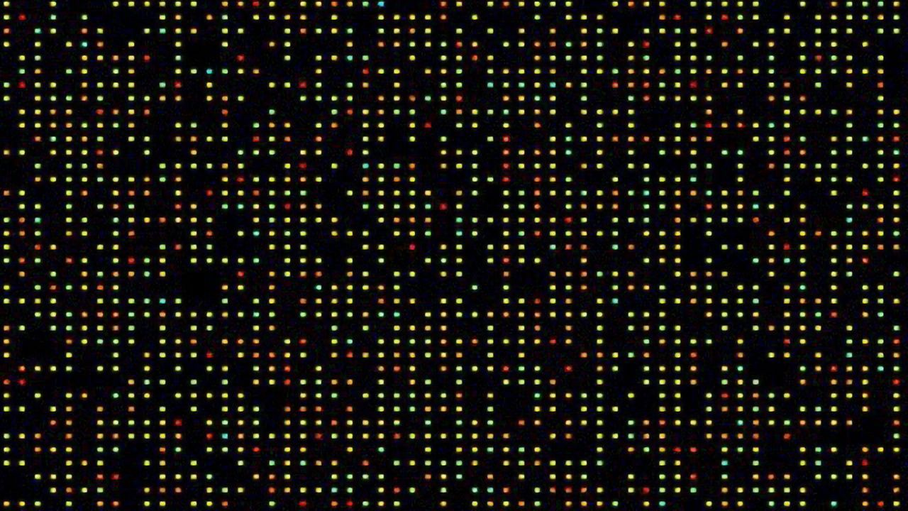 Listening With Lasers to Measure Oxygen Consumption in Cancer