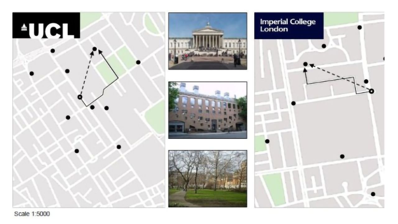 Brain Region Helps Us Get Around in Familiar Places