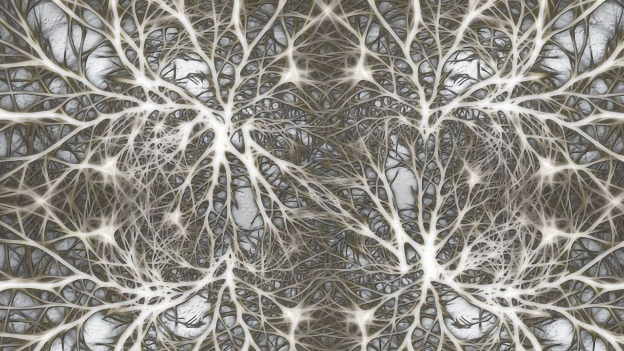 Cell Therapy Delays Disease Progression in ALS Mice