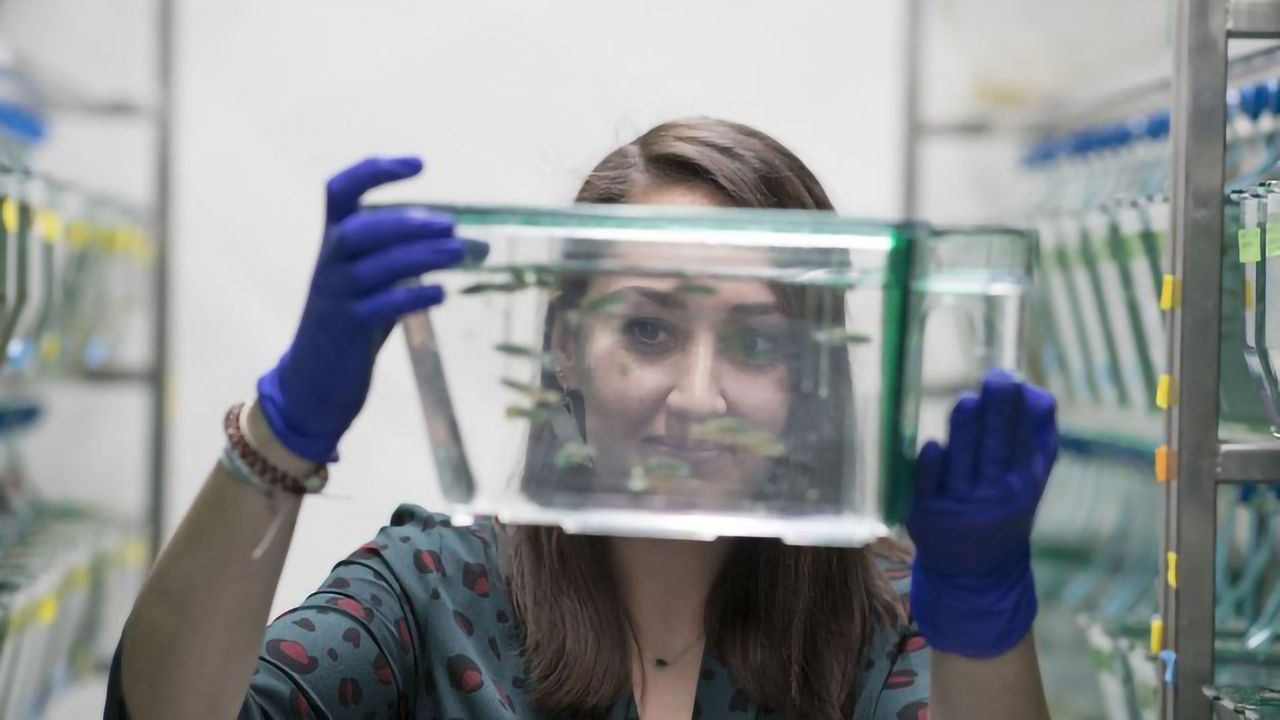 The Peripheral Nervous System Repairs Itself With a Little Help From the Brain