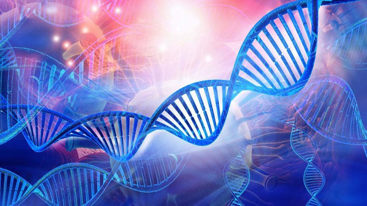 Streamlined ChIP-seq from Small Cell Numbers and Low Chromatin Concentrations